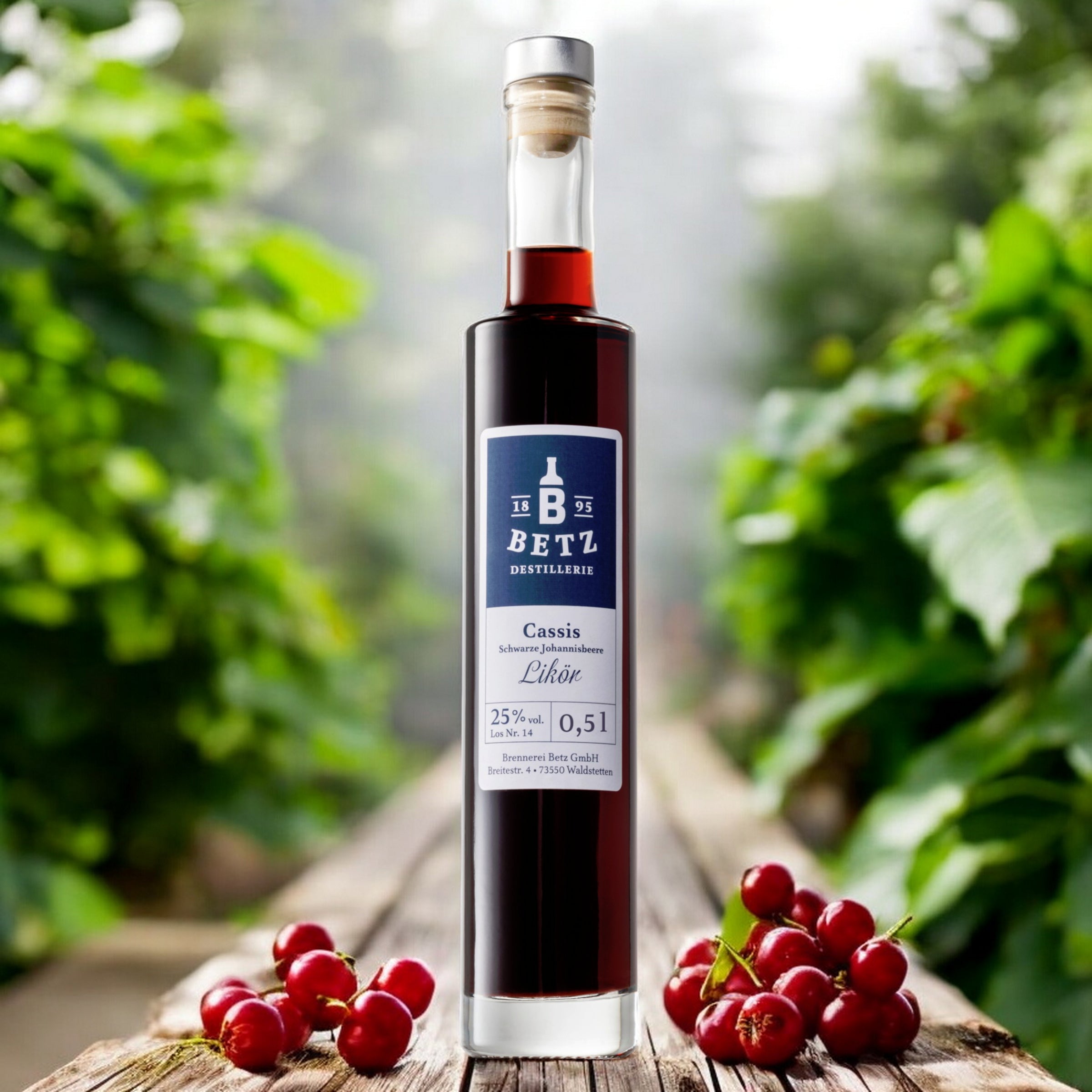 Cassis-Likör 0,5 l, 25 % vol.